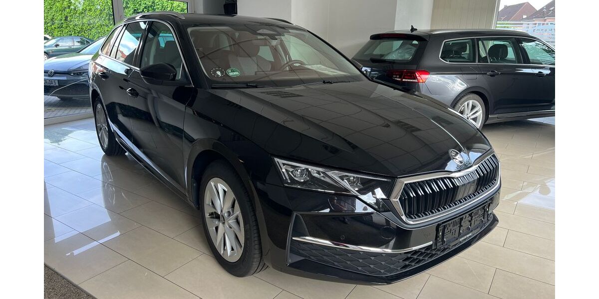Skoda Octavia 6.666 km 33.250 &euro; Calau 03205