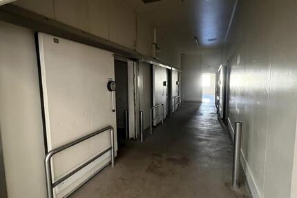 Warmhalle mit 8 Kühlzellen in Cottbus Merzdorf provisionsfrei zu zimmer