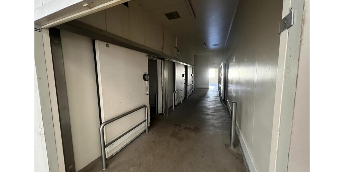 Warmhalle mit 8 Kühlzellen in Cottbus Merzdorf provisionsfrei zu zimmer