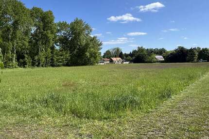 Grundstück zu verkaufen in Döbern 120.000 € 10149 m² zimmer