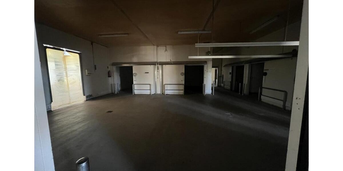 Warmhalle mit 8 Kühlzellen in Cottbus Merzdorf provisionsfrei zu zimmer