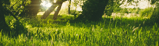 Erlebnispark Teichland im Umland von Cottbus