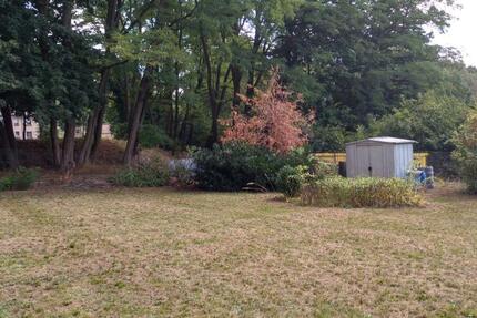 lukratives Baugrundstück in Spremberg - Stadtrand zimmer