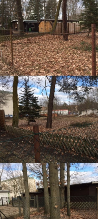 Wohn- und Geschäftsgrundstück in Kolkwitz - Großzügige 2.000 m² am Klinikum zu verkaufen zimmer