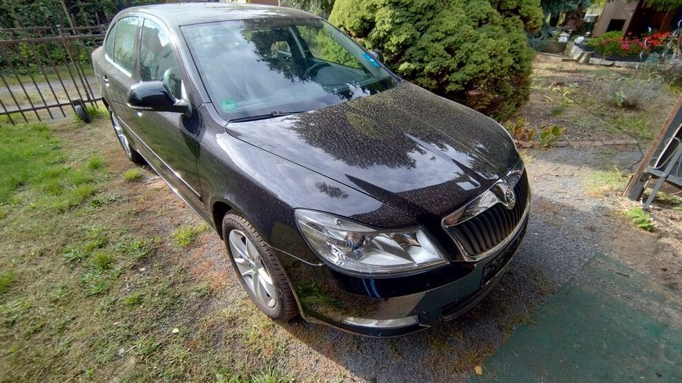 Skoda Octavia 63.500 km 8.500 € Großräschen 01983
