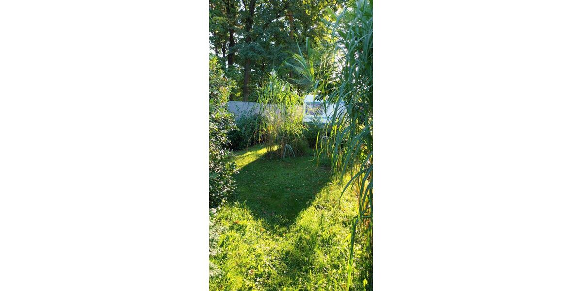 Bauernhaus, Landhaus Spremberg - 1 Zimmer, 50 m&sup2;, 60.000&euro; | Angebot:26279460