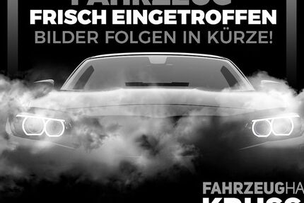 VW Amarok 290.000 km 17.990 &euro; Spremberg 03130