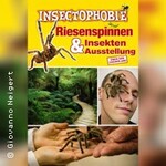 Insectophobie: Riesen Spinnen & Insekten