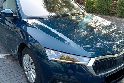 Skoda Octavia 55.000 km 19.900 &euro; Turnow-Preilack 03185