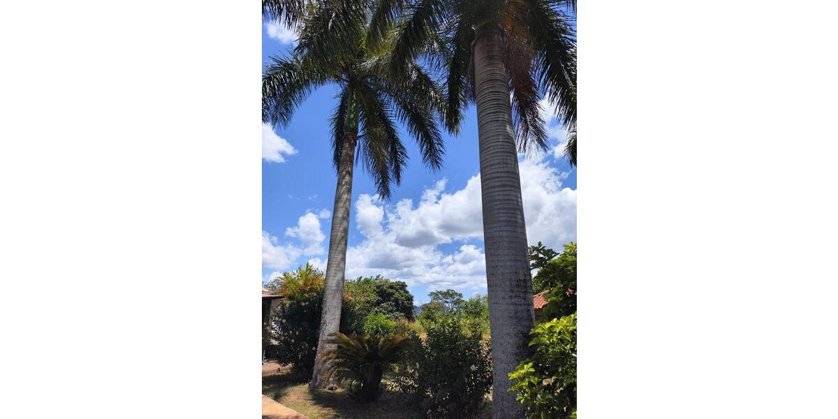 Einfamilienhaus Cottbus Spremberger Vorstadt - 350.000&euro; | Angebot:25223547