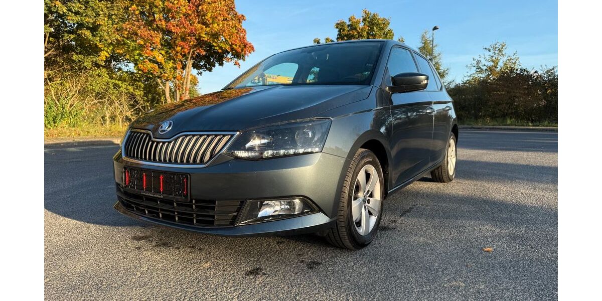 Skoda Fabia 72.424 km 11.500 &euro; Calau 03205