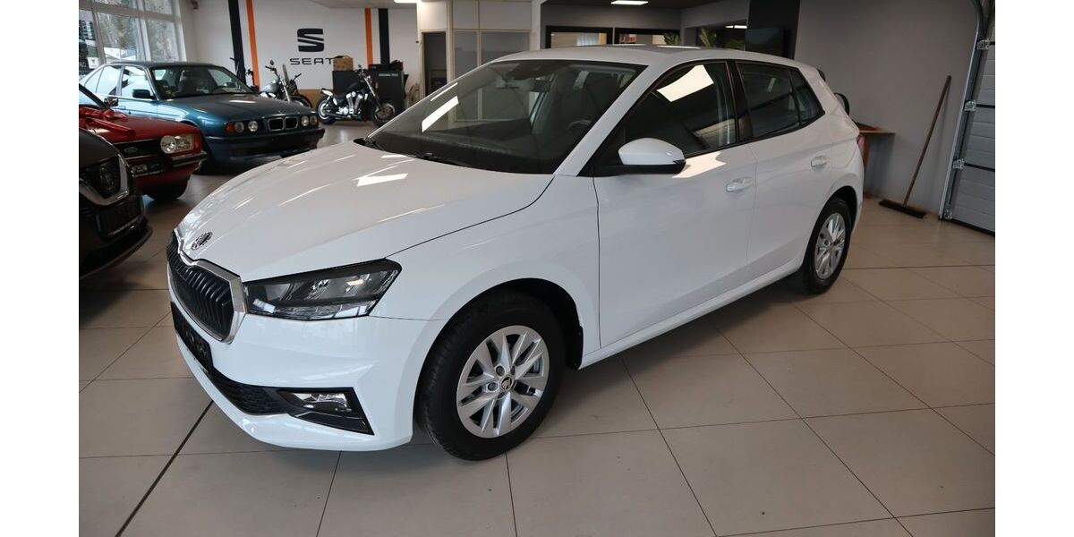 Skoda Fabia 76.118 km 14.850 &euro; Döbern 03159