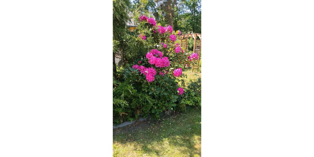 Bungalow Spremberg - 1 Zimmer, 40 m&sup2;, 55.000&euro; | Angebot:26857756
