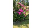 Bungalow Spremberg - 1 Zimmer, 40 m&sup2;, 60.000&euro; | Angebot:26857756