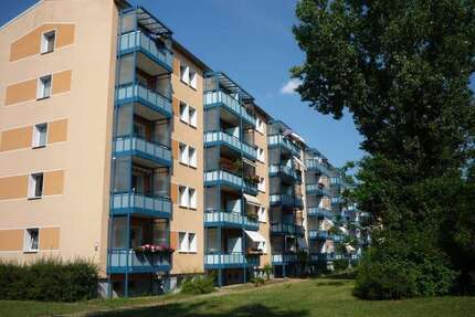 Wohnung zum Mieten in Cottbus 350 € 49.64 m²