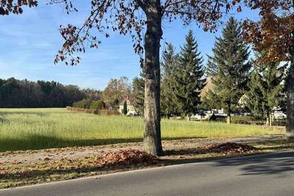 Grundstück zu verkaufen in Groß Düben 33.500 € 1200 m² zimmer