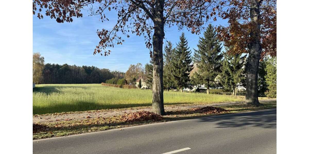 Grundstück zu verkaufen in Groß Düben 33.500 € 1200 m² zimmer