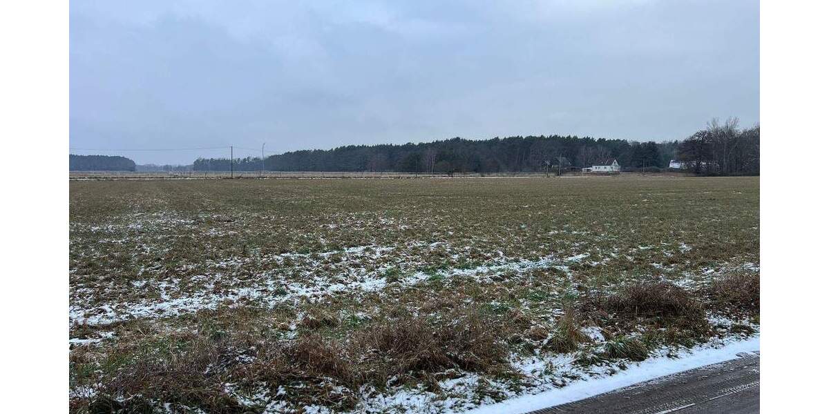 Grundstück Briesen - 26.650&euro; | Angebot:25685166