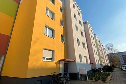 Wohnung Cottbus Sachsendorf - 3 Zimmer, 68 m&sup2;, 445&euro; | Angebot:24784219