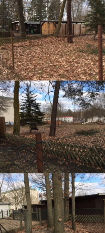 Grundstück zu verkaufen in Brandenburg - Kolkwitz 112.145 € 2000 m²