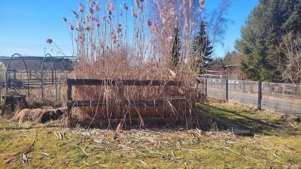 Einfamilienhaus Drachhausen - 6 Zimmer, 131 m&sup2;, 205.000&euro; | Angebot:26156663