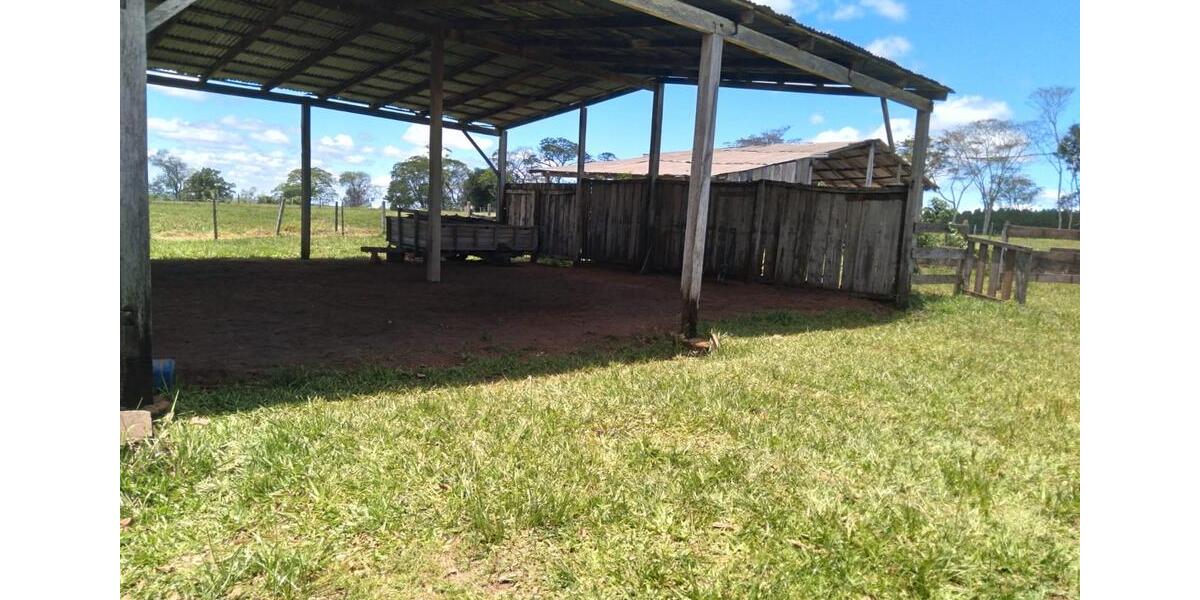 Einfamilienhaus Cottbus Spremberger Vorstadt - 350.000&euro; | Angebot:25223547