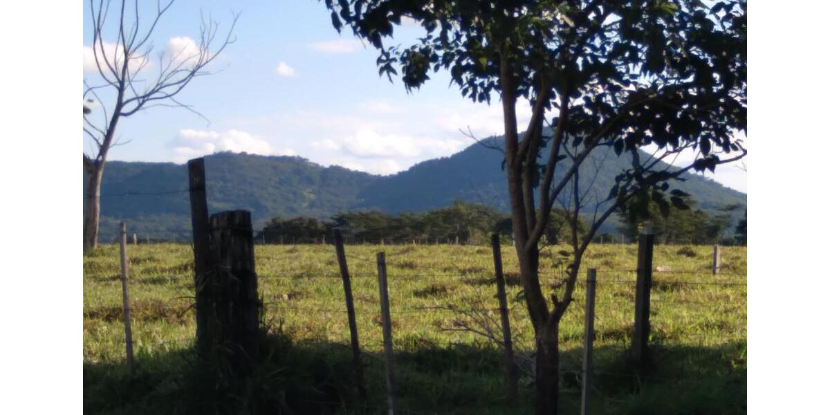 Einfamilienhaus Cottbus Spremberger Vorstadt - 350.000&euro; | Angebot:25223547