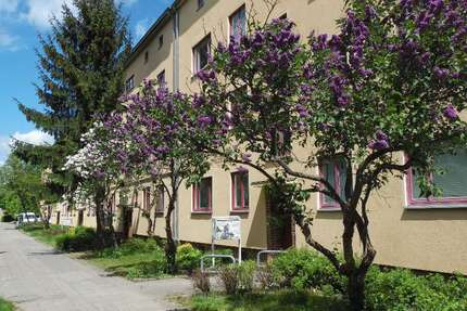 Wohnung zum Mieten in Cottbus 450 € 56.86 m² 2.5 zimmer