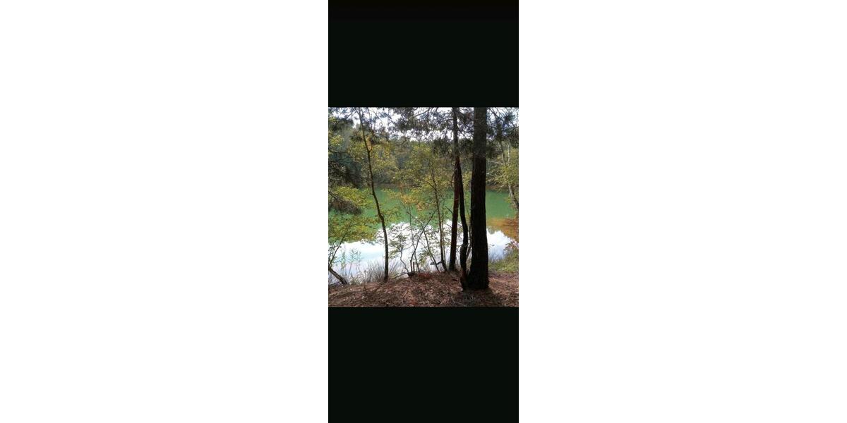 Bungalow Forst (Lausitz) - 54.500&euro; | Angebot:19047355