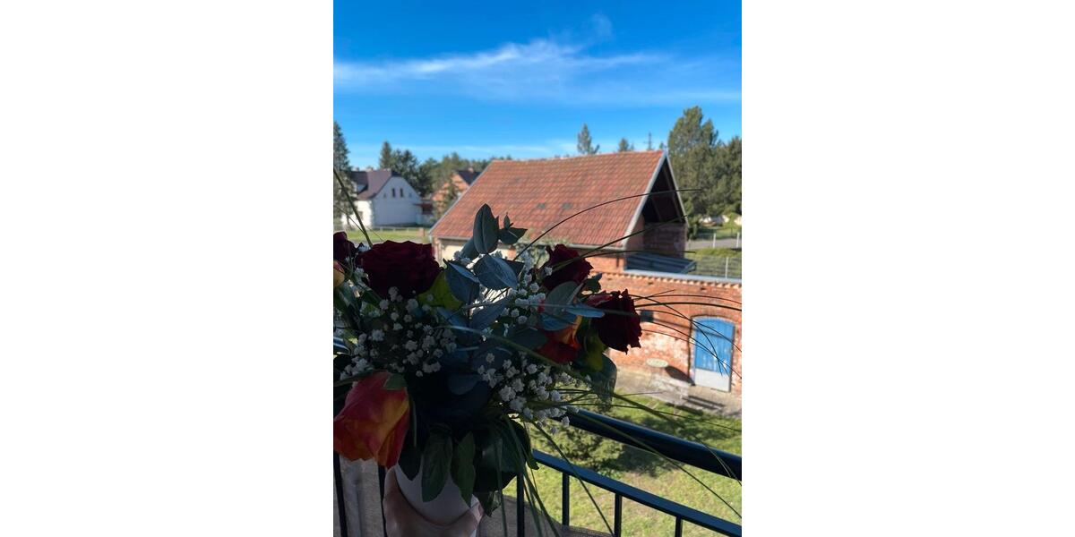 2 Raum Wohnung in Sielow 2 zimmer