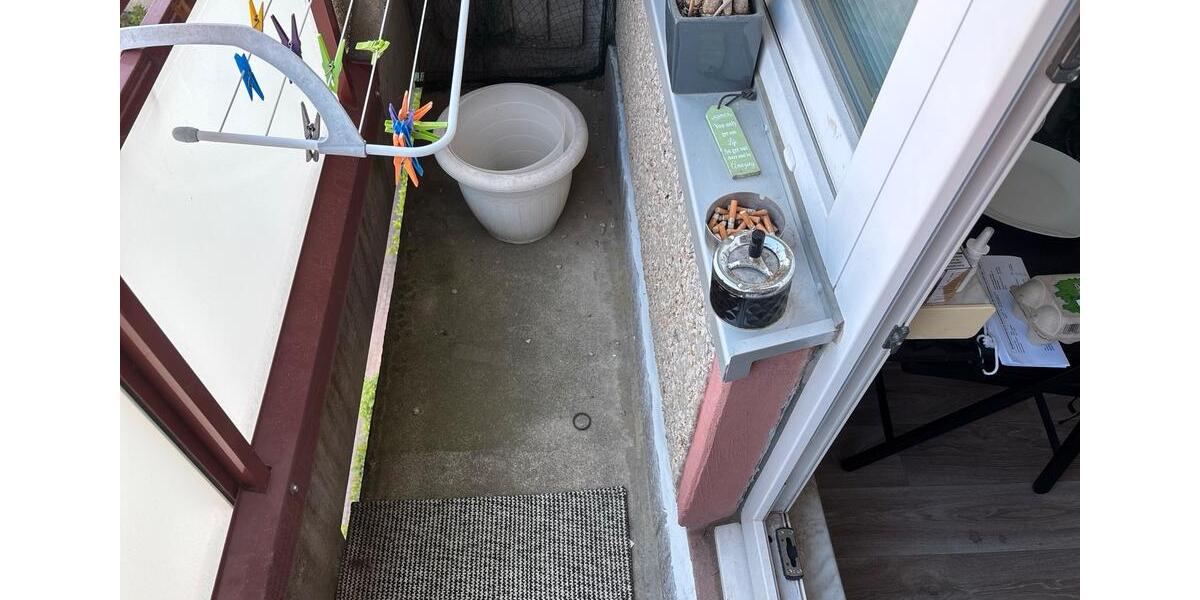 Etagenwohnung Cottbus - 1 Zimmer, 31 m&sup2;, 900&euro; | Angebot:26675856