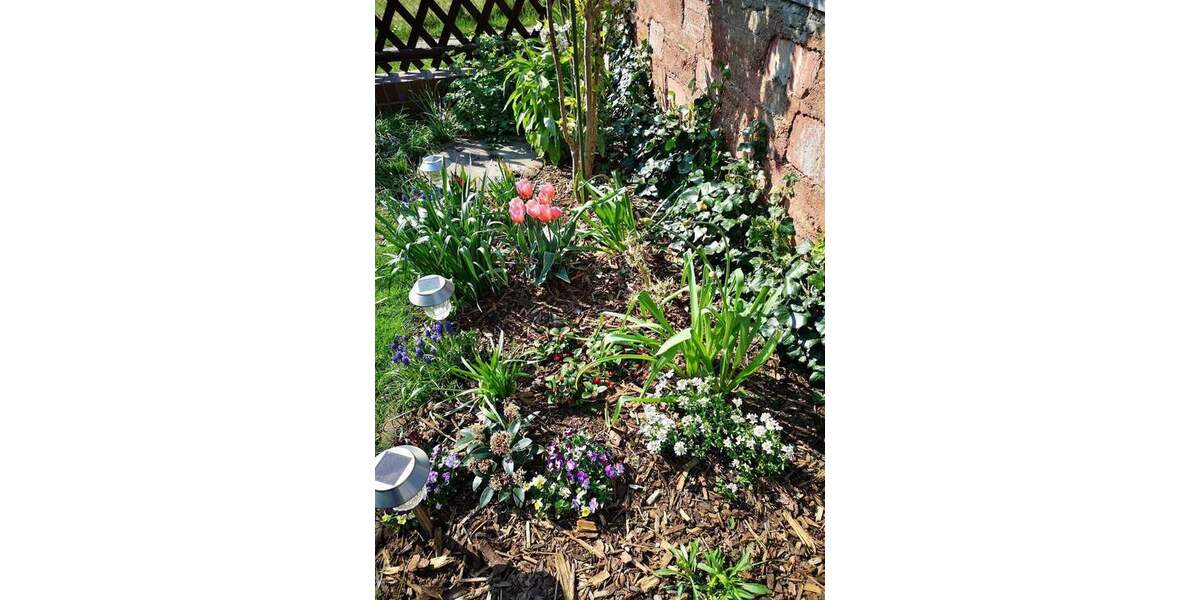 Grundstück Cottbus Kiekebusch - 89.000&euro; | Angebot:25686586