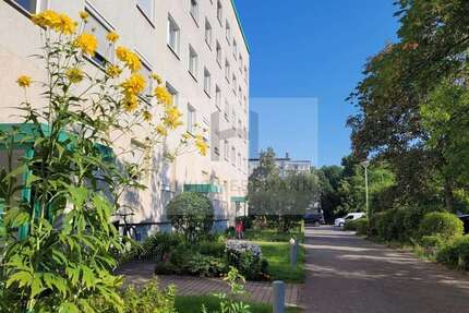 Wohnung Cottbus Merzdorf - 3 Zimmer, 58 m&sup2;, 83.000&euro; | Angebot:27164497