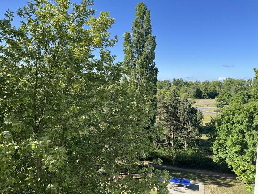 Hoch hinaus und den Ausblick genießen! zimmer