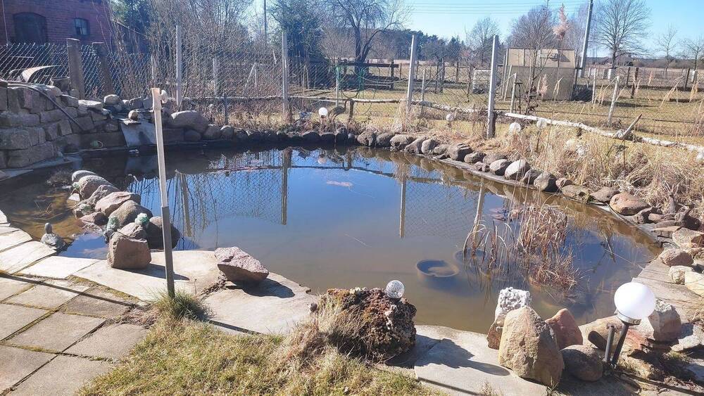 Einfamilienhaus Drachhausen - 6 Zimmer, 131 m&sup2;, 205.000&euro; | Angebot:26156663