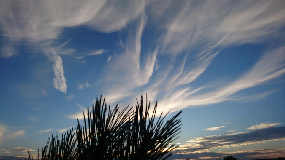 Einfamilienhaus Cottbus Sielow - 5 Zimmer, 167 m&sup2;, 353.000&euro; | Angebot:26069062