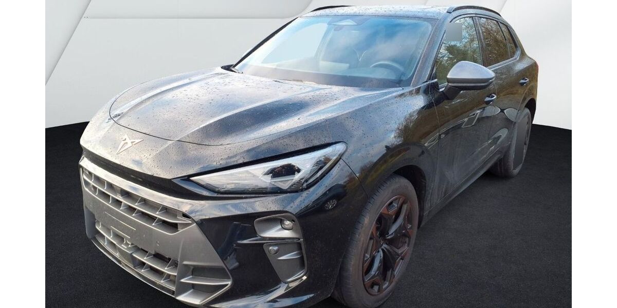 Cupra Terramar 2.482 km 37.600 &euro; Döbern 03159