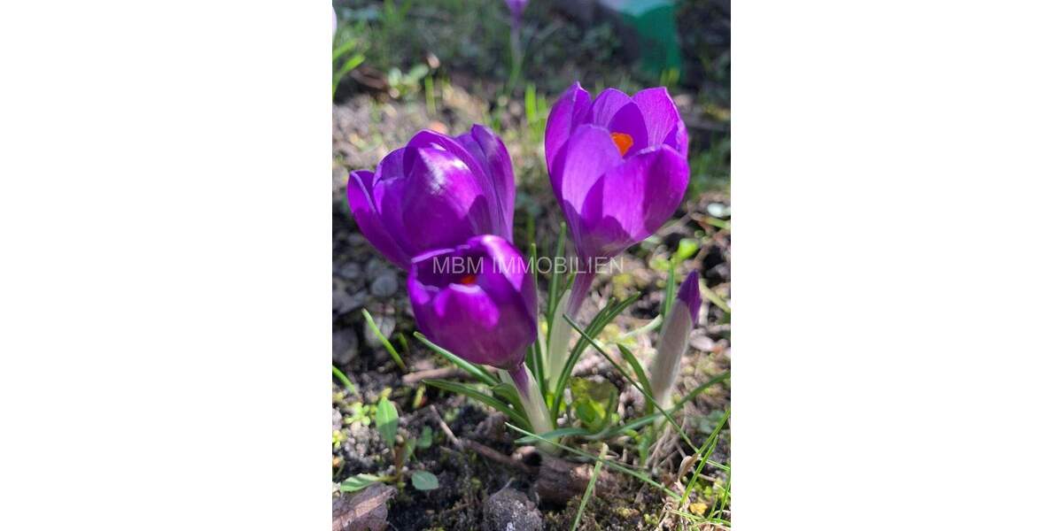 Einfamilienhaus Großräschen - 7 Zimmer, 222 m&sup2;, 174.900&euro; | Angebot:25818307