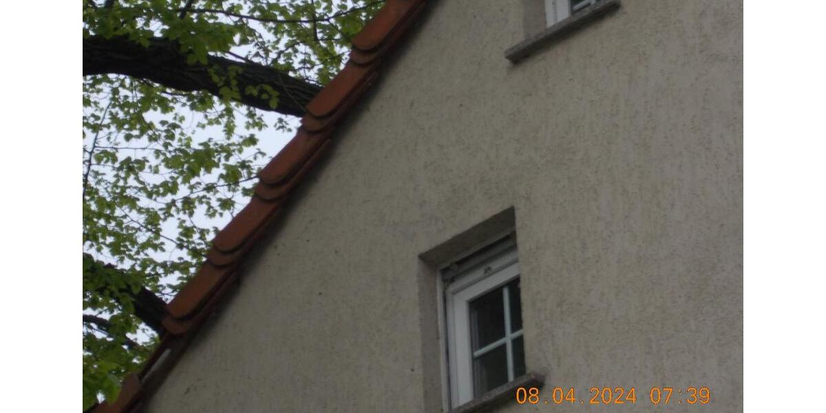 Einfamilienhaus Altdöbern - 3 Zimmer, 60 m&sup2;, 450&euro; | Angebot:24805516