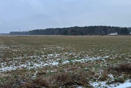 Grundstück Briesen - 26.650&euro; | Angebot:24708993