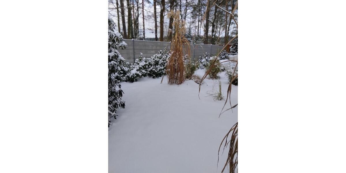 Einfamilienhaus Spremberg - 2 Zimmer, 80 m&sup2;, 140.000&euro; | Angebot:25054418