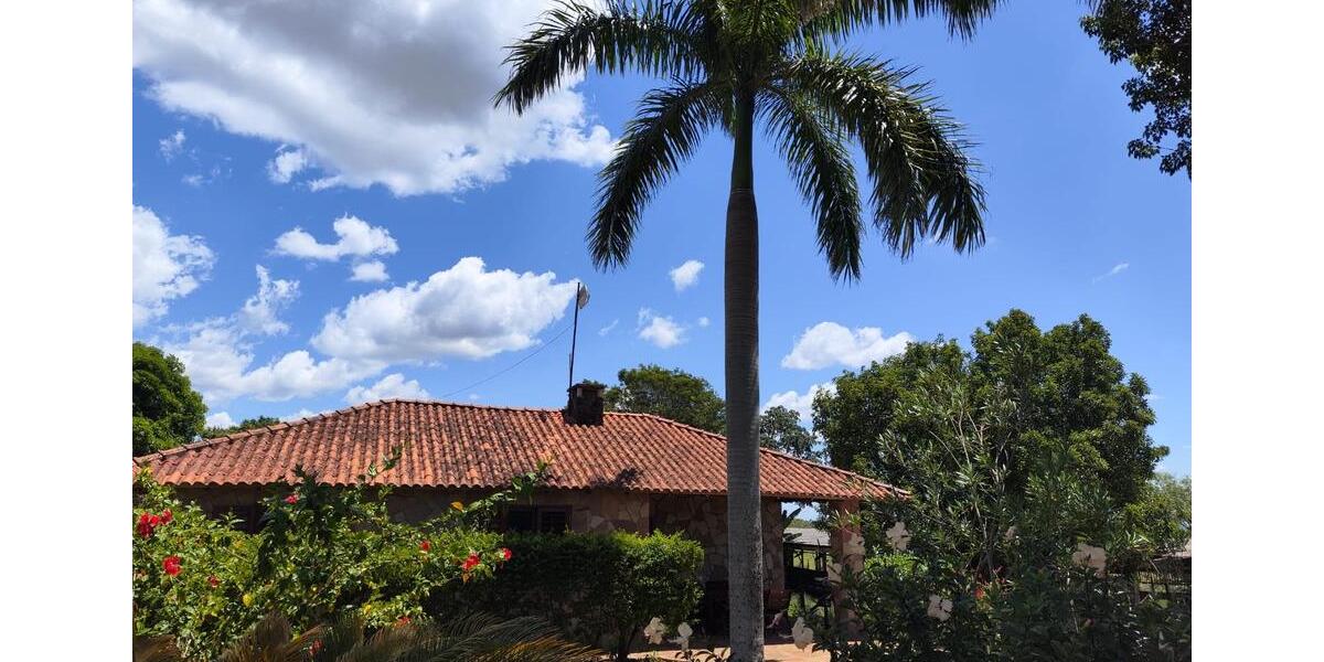 Einfamilienhaus Cottbus Spremberger Vorstadt - 350.000&euro; | Angebot:25223547