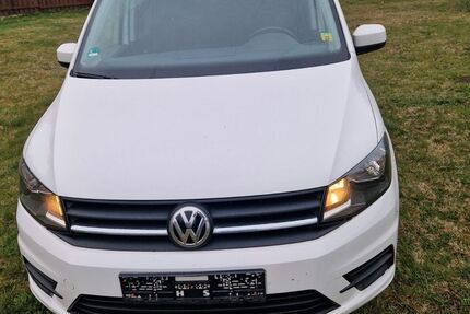 VW Caddy Maxi 116.000 km 14.999 &euro; Spremberg 03130