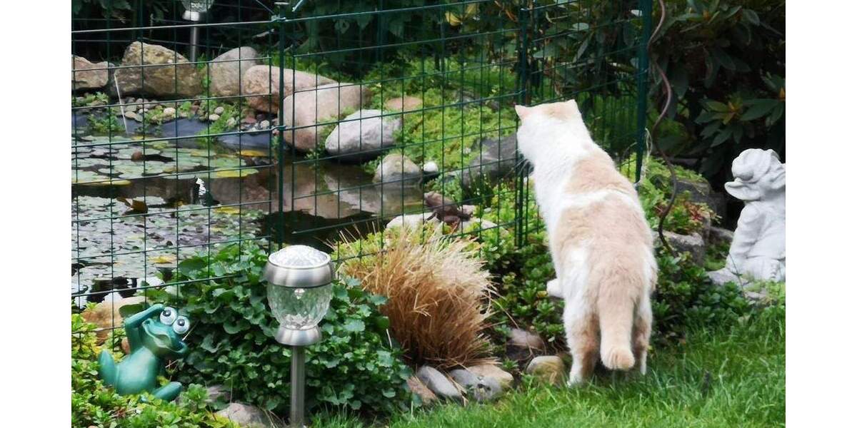 Grundstück Cottbus Kiekebusch - 89.000&euro; | Angebot:25686586