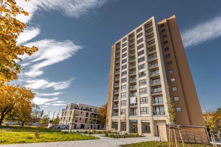 Etagenwohnung Cottbus Sachsendorf - 1 Zimmer, 36 m&sup2;, 570&euro; | Angebot:26163998