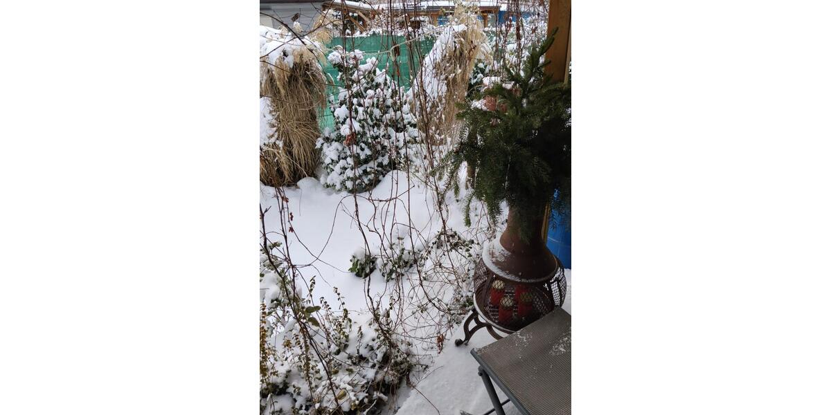 Einfamilienhaus Spremberg - 2 Zimmer, 80 m&sup2;, 140.000&euro; | Angebot:25054418