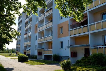 Wohnung Cottbus Brunschwig - 3 Zimmer, 57 m&sup2;, 375&euro; | Angebot:25349423