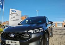 Gebrauchtwagen Ford Kuga