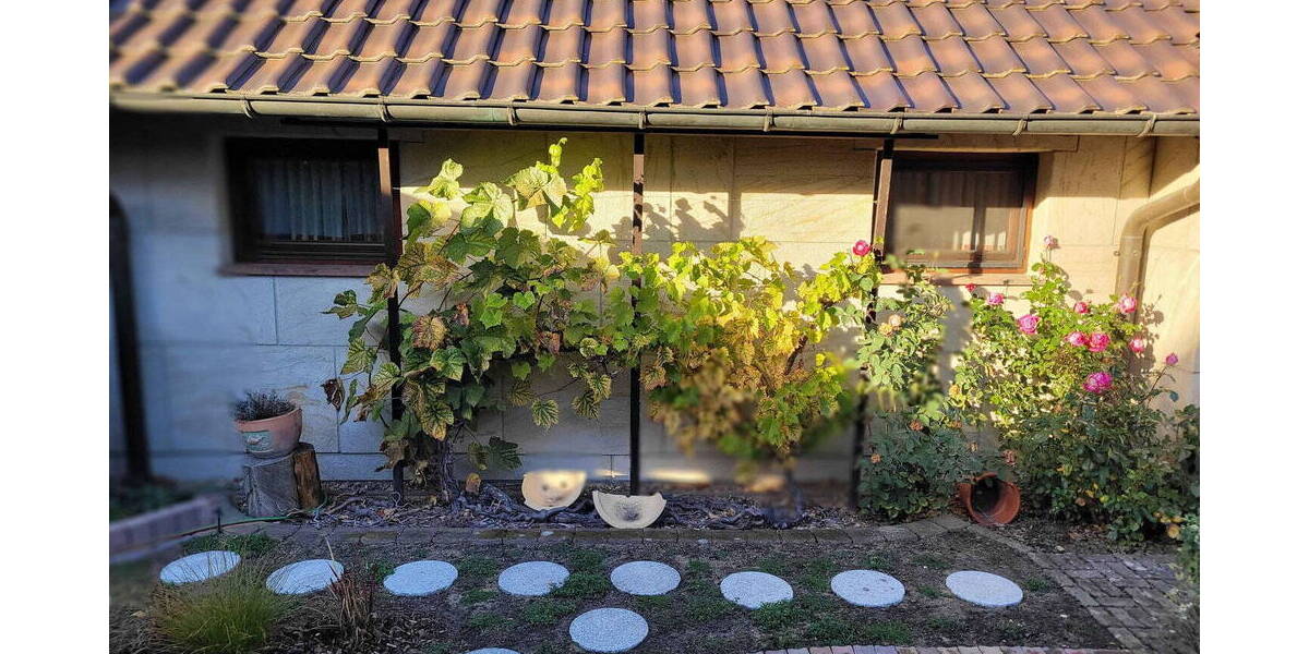 Mehrfamilienhaus, Wohnhaus Cottbus Döbbrick - 1 Zimmer, 310 m&sup2;, 574.480&euro; | Angebot:26487497