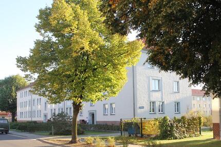 Helle 3-Zimmer-Wohnung im Lausitzer Seenland 3 zimmer